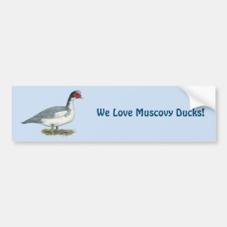 Muscovy Blue Pied Drake Bumper Sticker