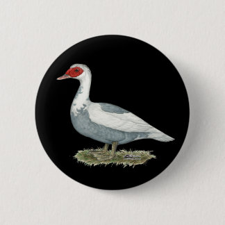 Muscovy Blue Pied Duck 6 Cm Round Badge