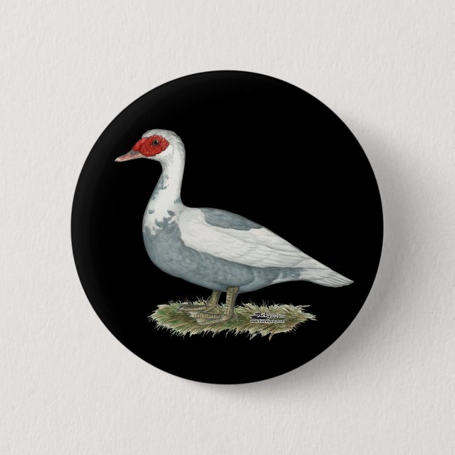 Muscovy Blue Pied Duck 6 Cm Round Badge (Front)