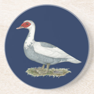 Muscovy Blue Pied Duck Coaster