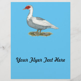 Muscovy Blue Pied Duck Flyer