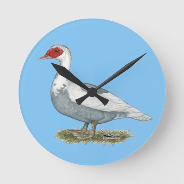 Muscovy Blue Pied Duck Round Clock (Front)