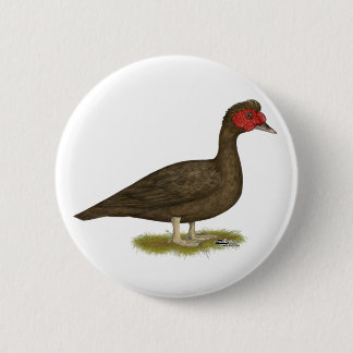 Muscovy Drake Chocolate 6 Cm Round Badge