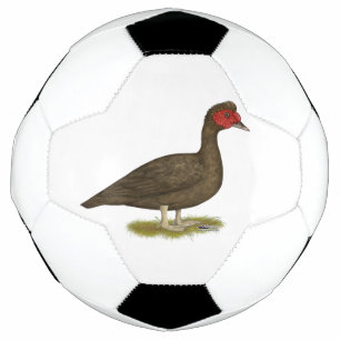 Muscovy Drake Chocolate Soccer Ball