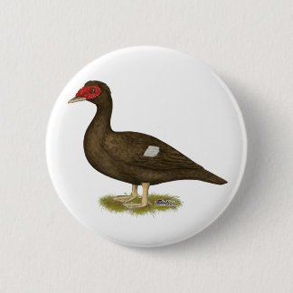 Muscovy Duck Chocolate 6 Cm Round Badge