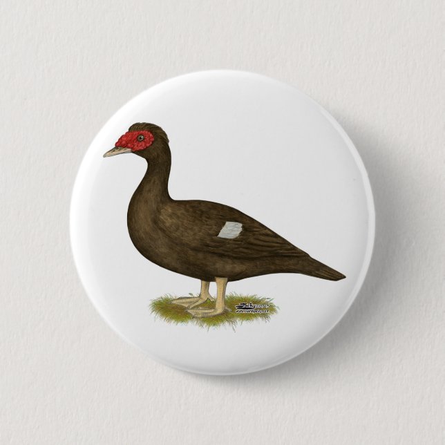 Muscovy Duck Chocolate 6 Cm Round Badge (Front)