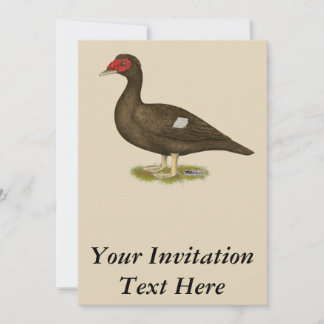 Muscovy Duck Chocolate Invitation