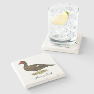 Muscovy Duck Chocolate Stone Coaster