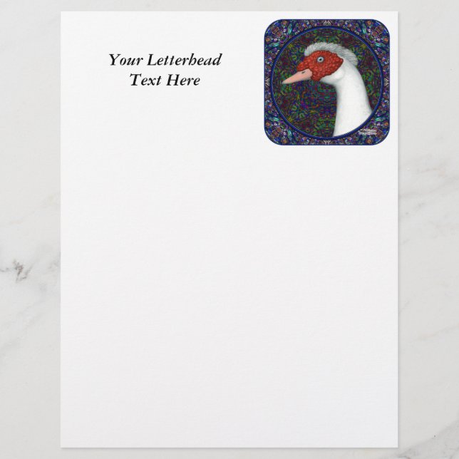 Muscovy Duck Head White (Front)