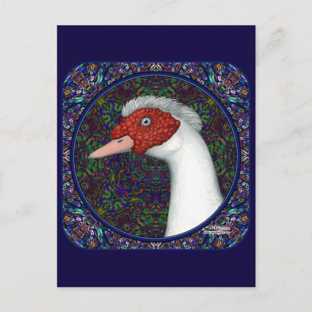 Muscovy Duck Head White Postcard (Front)