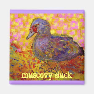 muscovy duck magnet