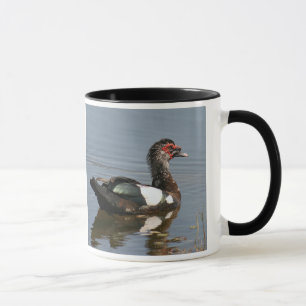 Muscovy Duck Mug