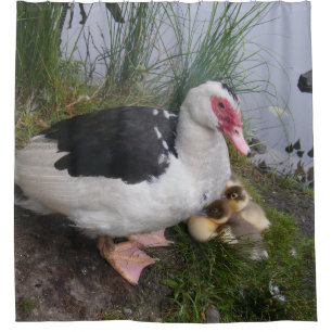 Muscovy Duck Mum and Ducklings Shower Curtain