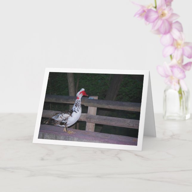 Muscovy duck Portrait Card (Orchid)