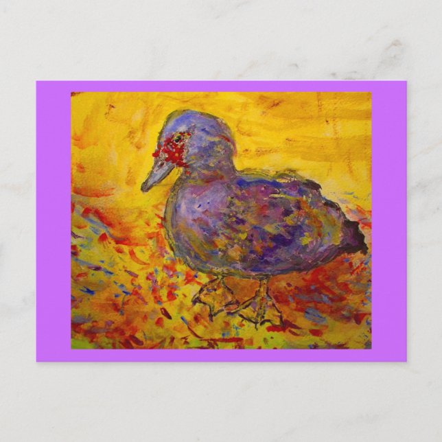 muscovy duck postcard (Front)