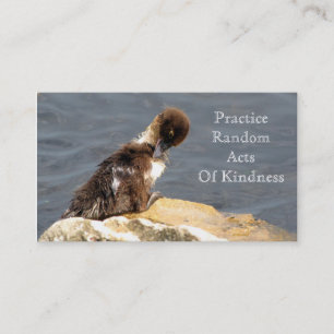 Muscovy Duckling - RAOK Cards (Business Card Size)