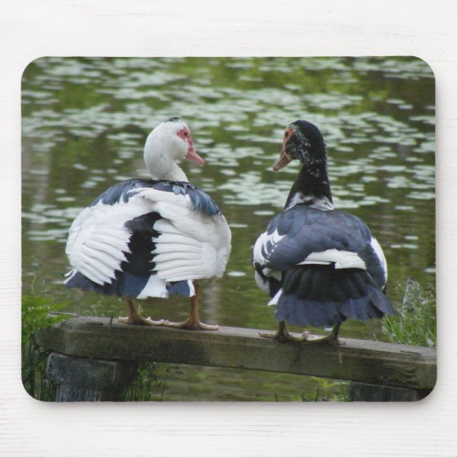 Muscovy Ducks Mouse Pad (Front)