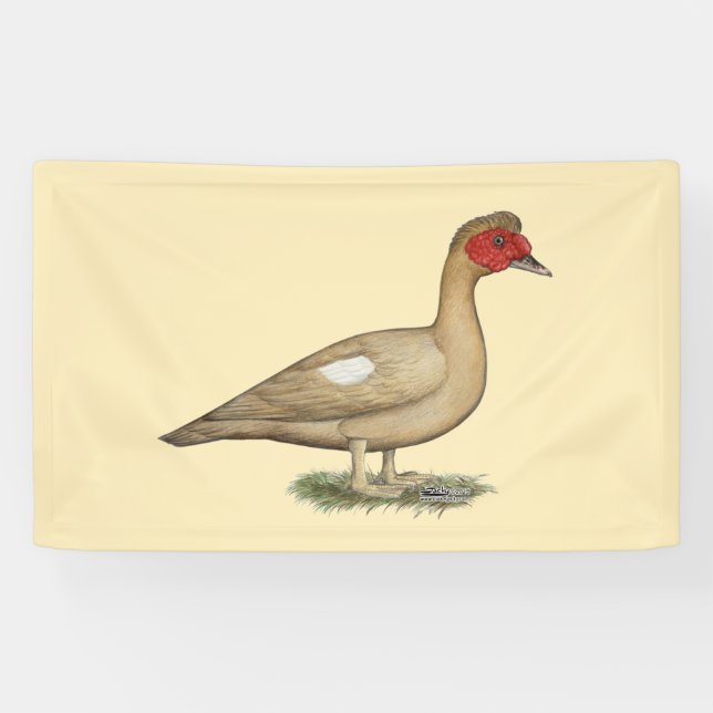 Muscovy Light Chocolate Drake Banner (Horizontal)