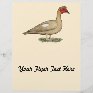 Muscovy Light Chocolate Drake Flyer