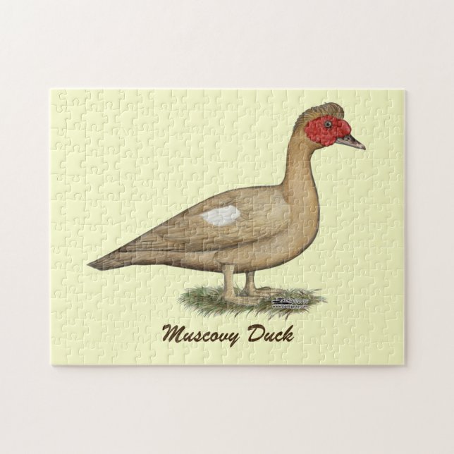 Muscovy Light Chocolate Drake Jigsaw Puzzle (Horizontal)