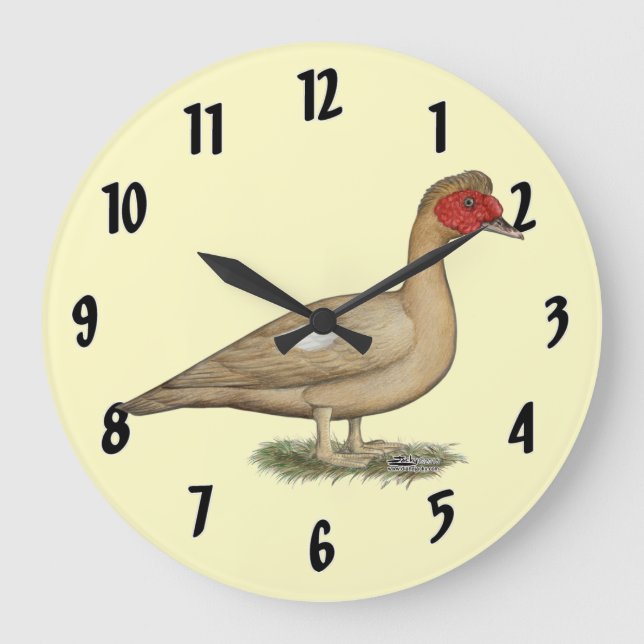 Muscovy Light Chocolate Drake Large Clock (Front)