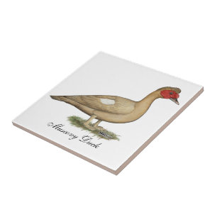 Muscovy Light Chocolate Drake Tile