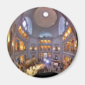 Museum of Natural History Magnet