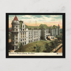 Museum of Natural History, New York City 1910 Vint Postcard