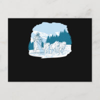Mushing Sled Dog Racing Husky Sledding