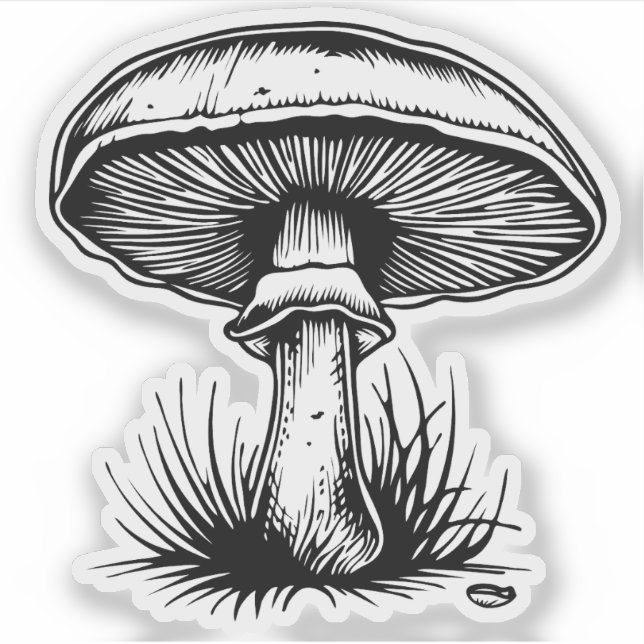  Mushroom  (Front)