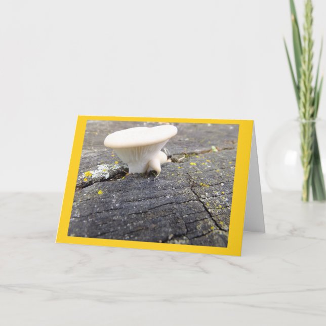 Mushroom and Lichen in Wisconsin Blank Note Card (Front)