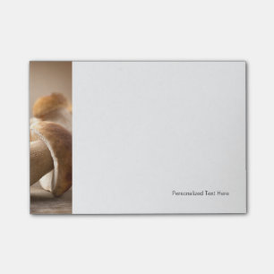 Mushroom Boletus Over Wooden Background. Autumn Post-it Notes