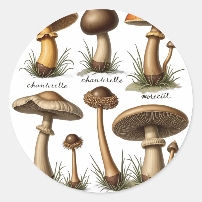 Mushroom Botanical Classic Round Sticker (Front)