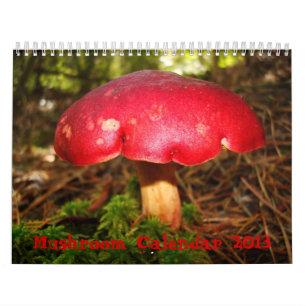 Mushroom Calendar