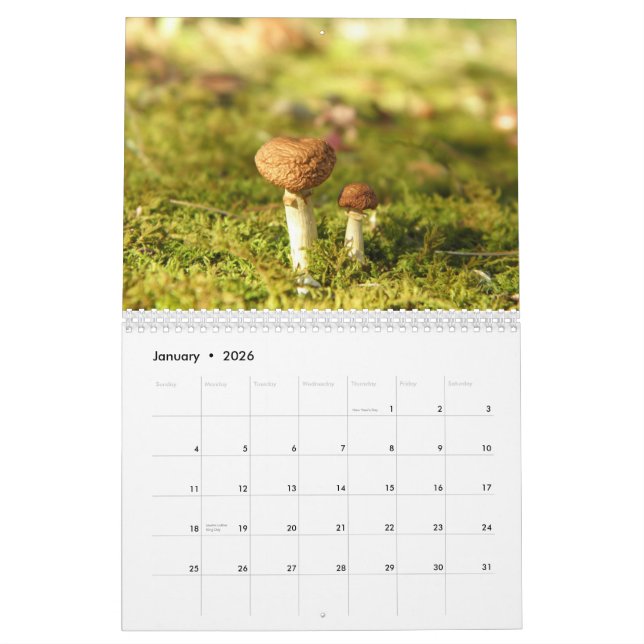 Mushroom Calendar (Jan 2026)