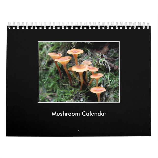 Mushroom Calendar (Cover)