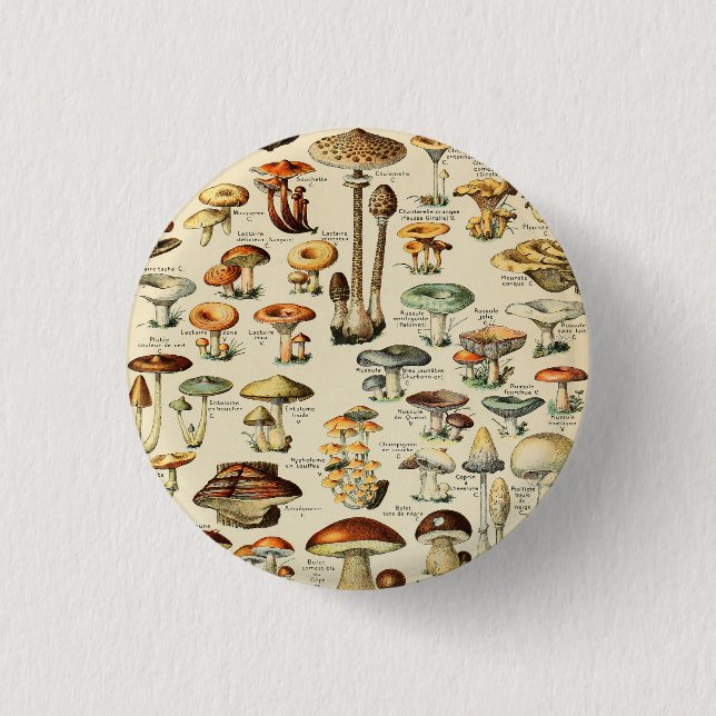 Mushroom Collection  3 Cm Round Badge (Front)