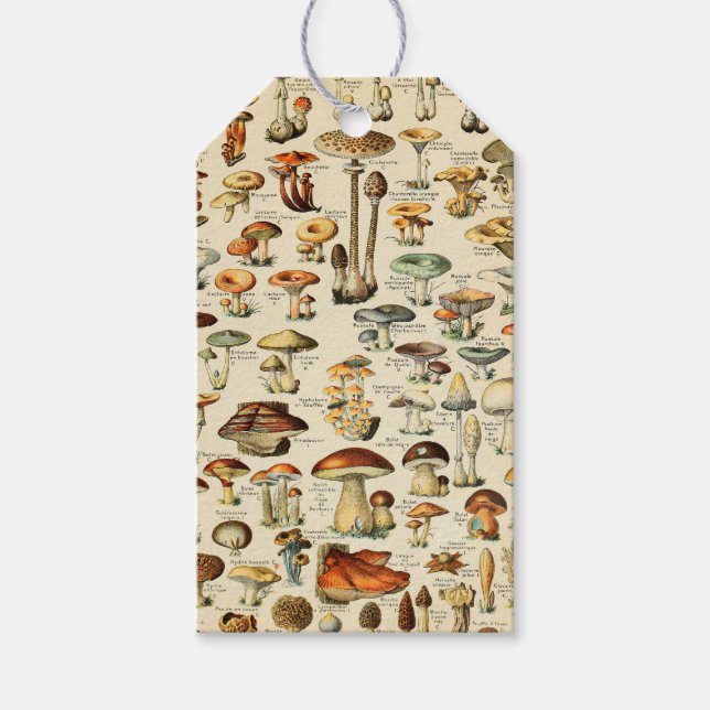 Mushroom Collection  Gift Tags (Front)