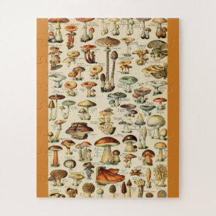 Mushroom Collection Jigsaw Puzzle