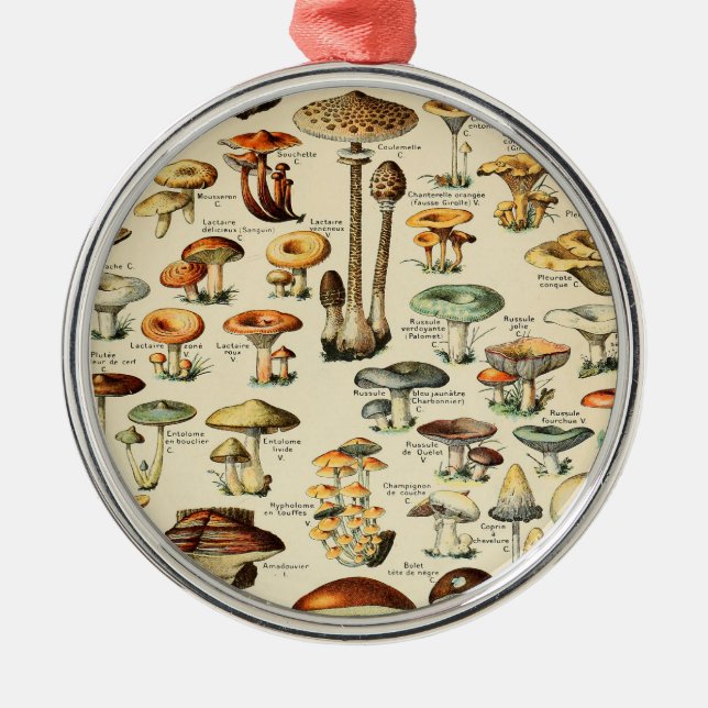 Mushroom Collection    Metal Tree Decoration (Front)