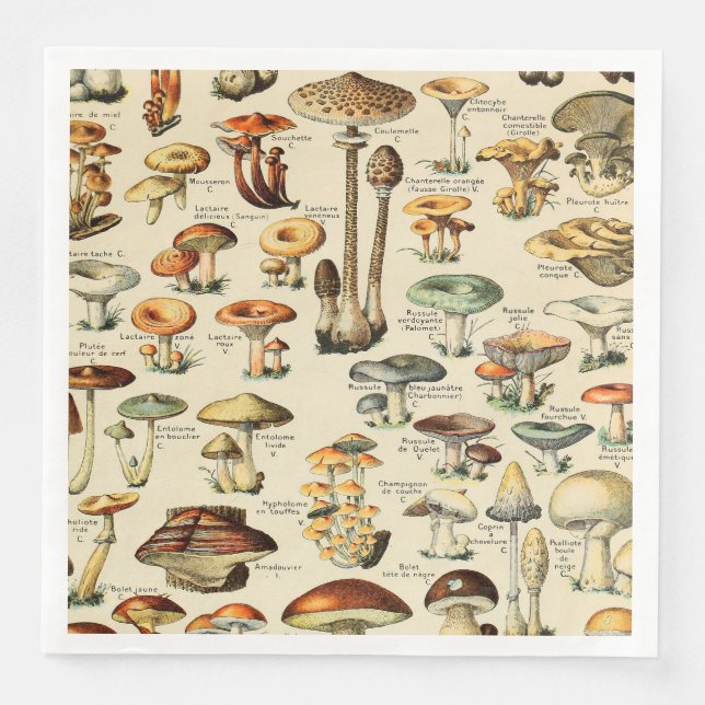Mushroom Collection     Napkin (Front)