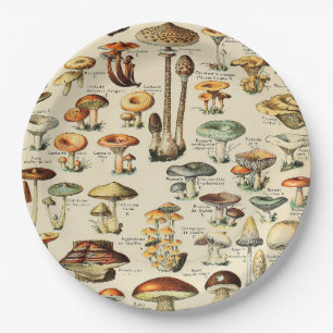Mushroom Collection  Paper Plate