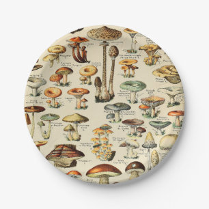 Mushroom Collection Paper Plate