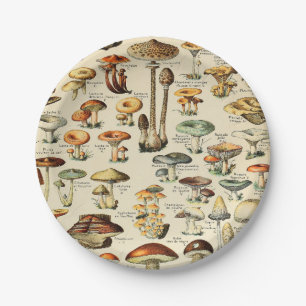 Mushroom Collection  Paper Plate