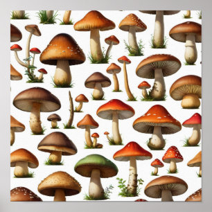 Mushroom Collection Pattern Design Poster