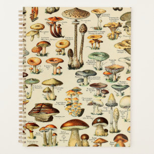 Mushroom Collection Planner