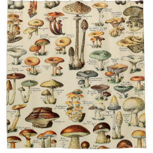 Mushroom Collection  Shower Curtain
