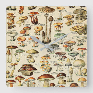 Mushroom Collection Square Wall Clock