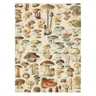 Mushroom Collection    Tablecloth