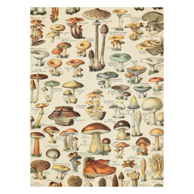 Mushroom Collection    Tablecloth (Front)